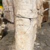 Lápida madera petrificada 36084