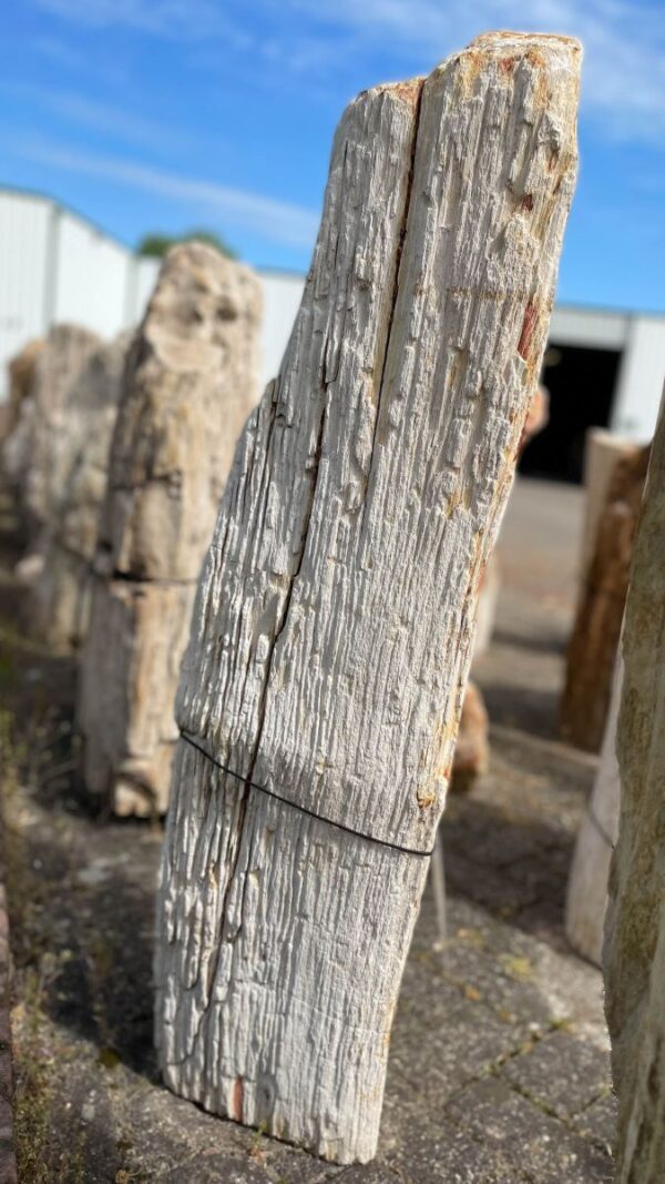 Lápida madera petrificada 36087