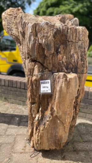 Lápida madera petrificada 36089