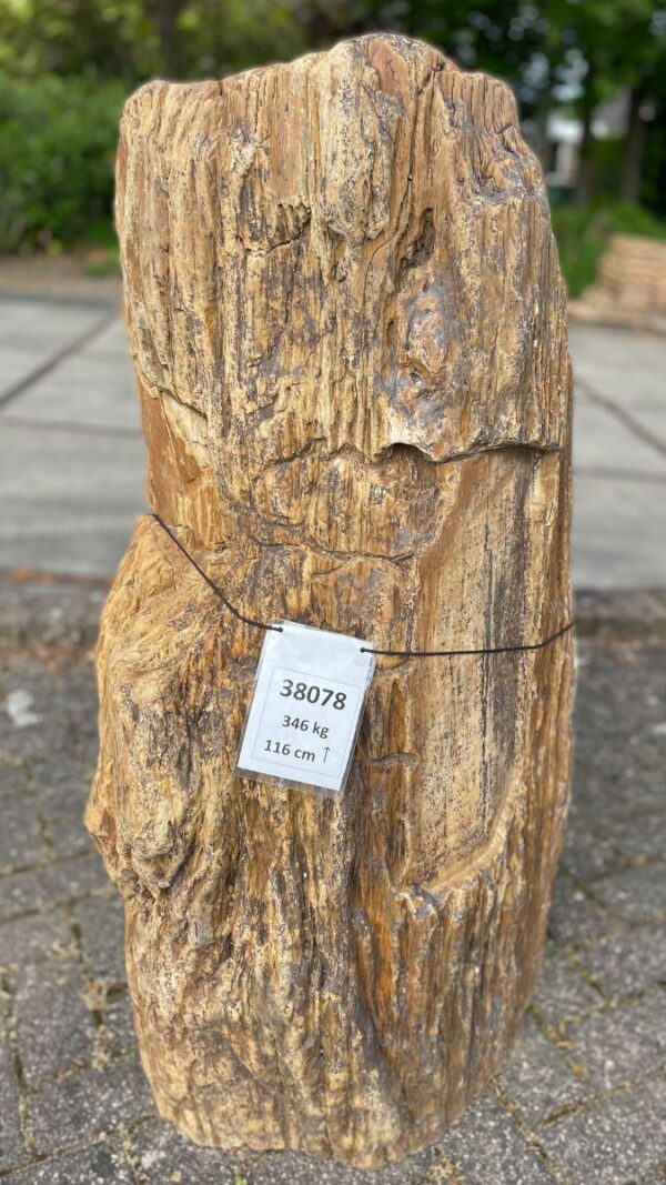 Lápida madera petrificada 38078