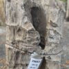 Lápida madera petrificada 39063