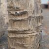 Lápida madera petrificada 39063