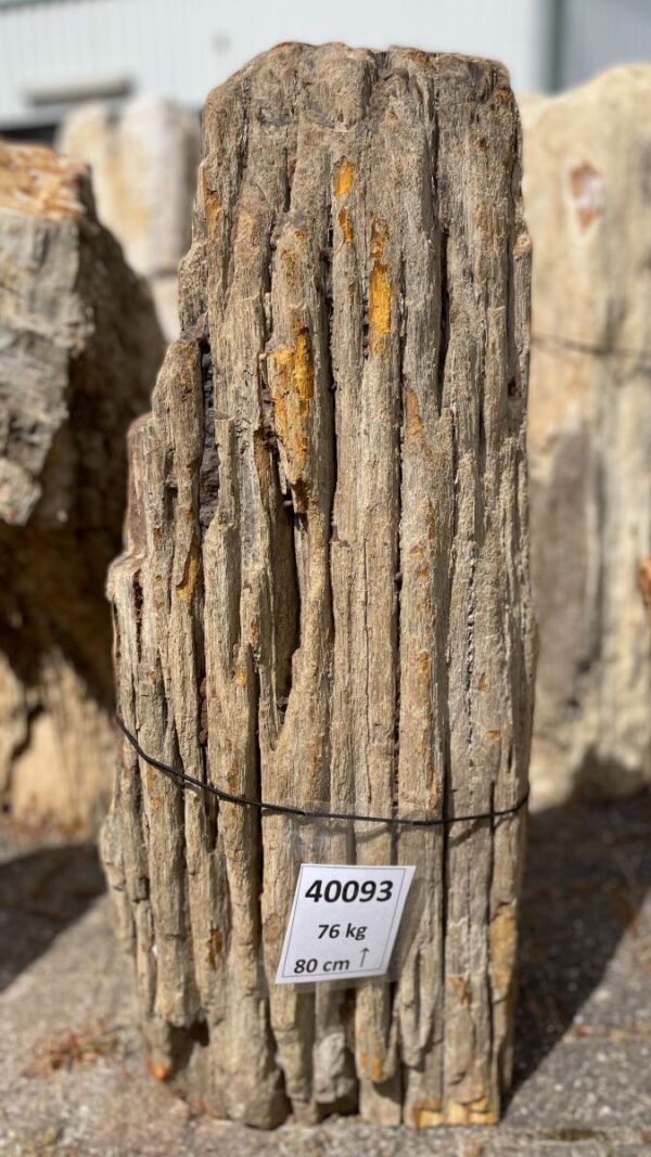 Lápida madera petrificada 40093