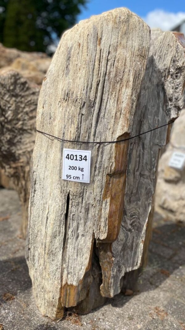 Lápida madera petrificada 40134