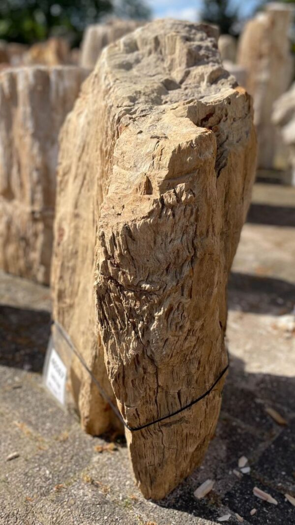 Lápida madera petrificada 40167