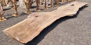 Live edge table suar 29710