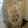 Lápida madera petrificada 19036