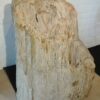 Lápida madera petrificada 19036