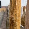 Memorial stone petrified wood 35074