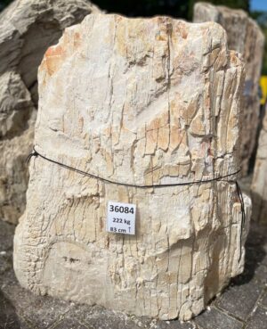 Memorial stone petrified wood 36084