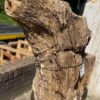 Memorial stone petrified wood 36089