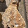 Memorial stone petrified wood 36089