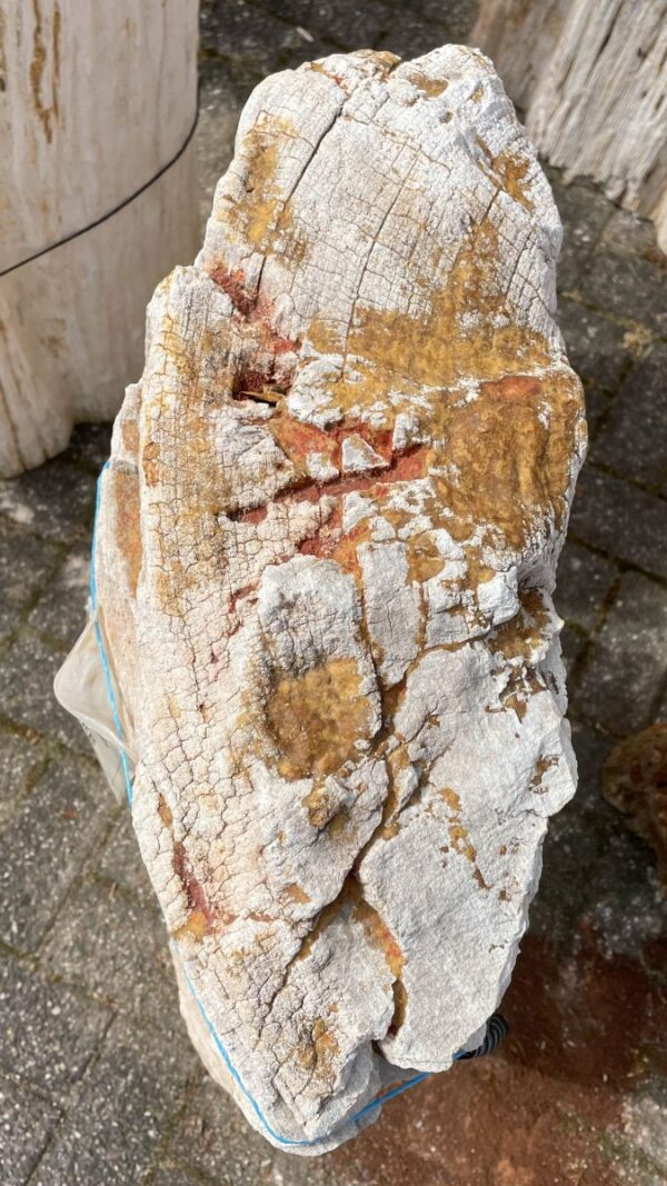 Memorial stone petrified wood 38092
