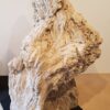 Memorial stone petrified wood 19027