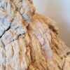 Memorial stone petrified wood 19027