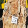 Pierre tombale bois pétrifié 39060