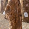 Pierre tombale bois pétrifié 40158