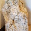 Grafsteen versteend hout 19027