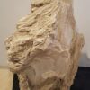 Grafsteen versteend hout 19027
