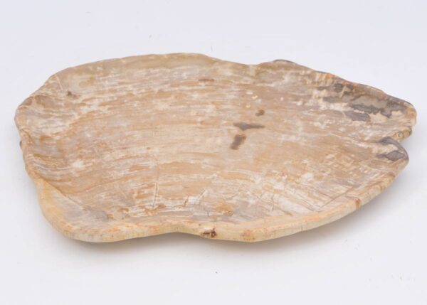 Assiette bois pétrifié 42068b