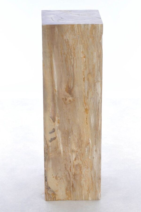 Beistelltisch versteinertes Holz 41239