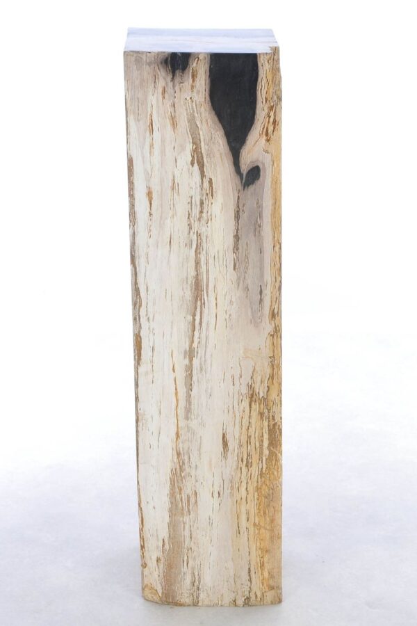 Beistelltisch versteinertes Holz 41240