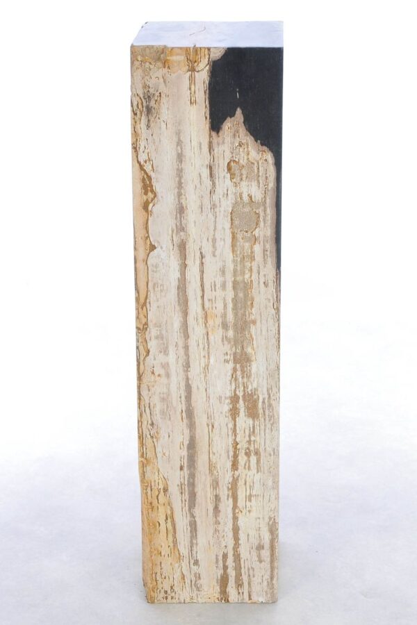 Beistelltisch versteinertes Holz 41240