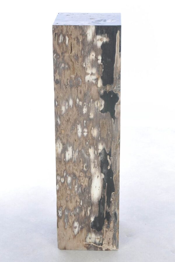 Beistelltisch versteinertes Holz 41241