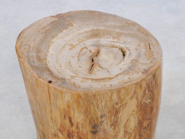 Beistelltisch versteinertes Holz 42032