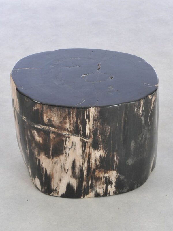 Beistelltisch versteinertes Holz 42040