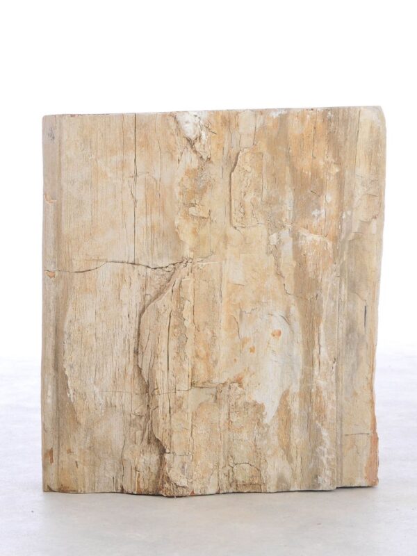 Beistelltisch versteinertes Holz 42116