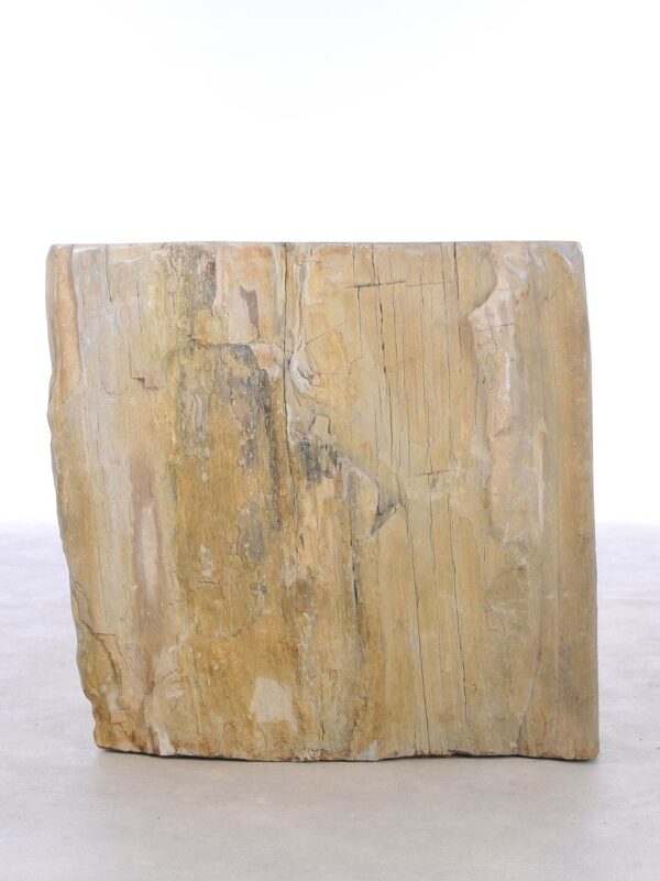 Beistelltisch versteinertes Holz 42117