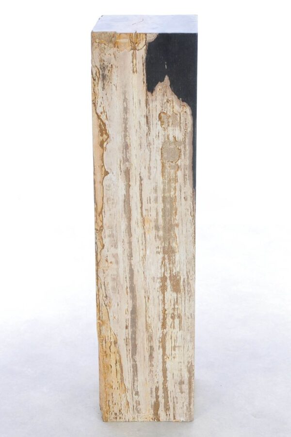 Bijzettafel versteend hout 41240