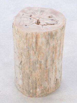 Bijzettafel versteend hout 42003