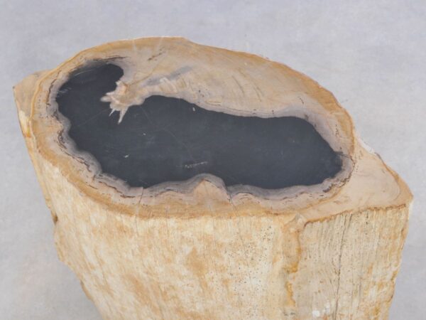 Bijzettafel versteend hout 42010