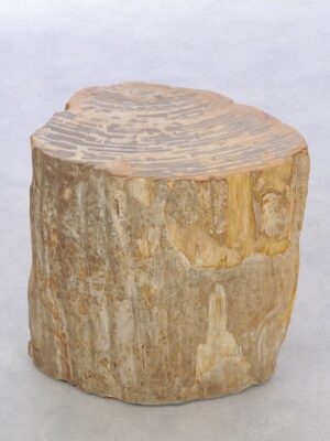 Bijzettafel versteend hout 42014