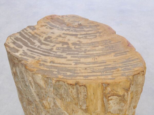 Bijzettafel versteend hout 42014