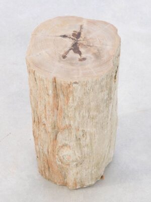 Bijzettafel versteend hout 42027
