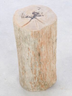 Bijzettafel versteend hout 42028