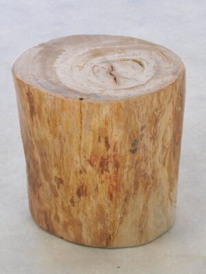 Bijzettafel versteend hout 42032