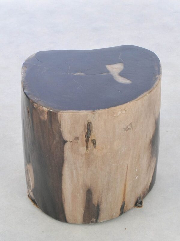Bijzettafel versteend hout 42038