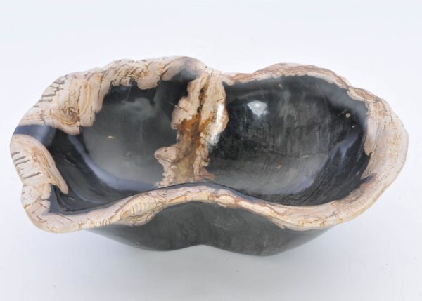 Schaal versteend hout 42059