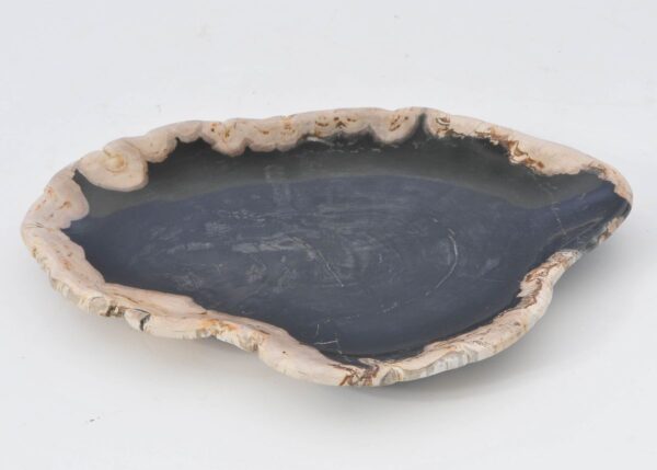 Bord versteend hout 42070k