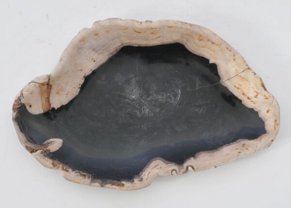 Bord versteend hout 42070n