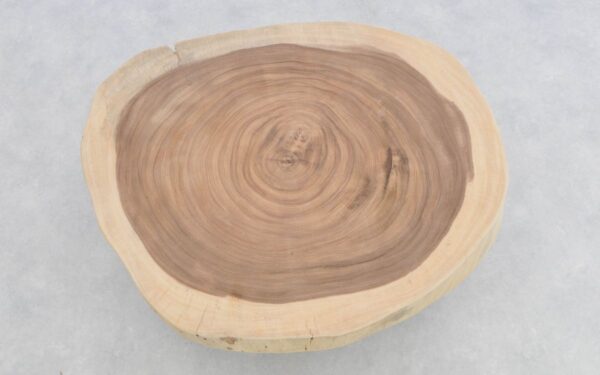 Coffee table suar 29589