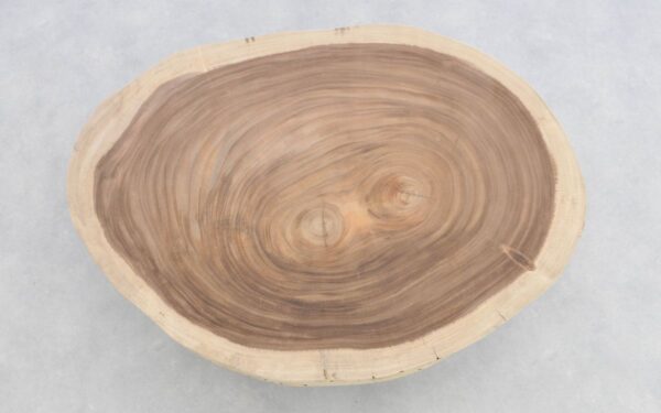 Coffee table suar 29603