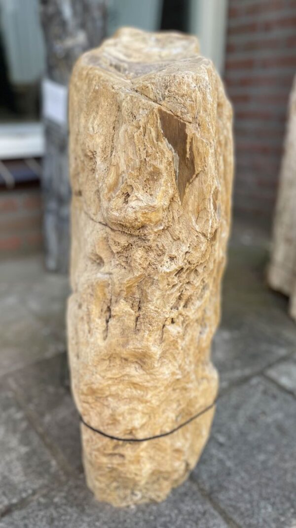 Grabstein versteinertes Holz 32145
