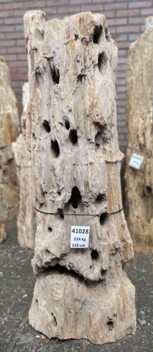 Grabstein versteinertes Holz 41028