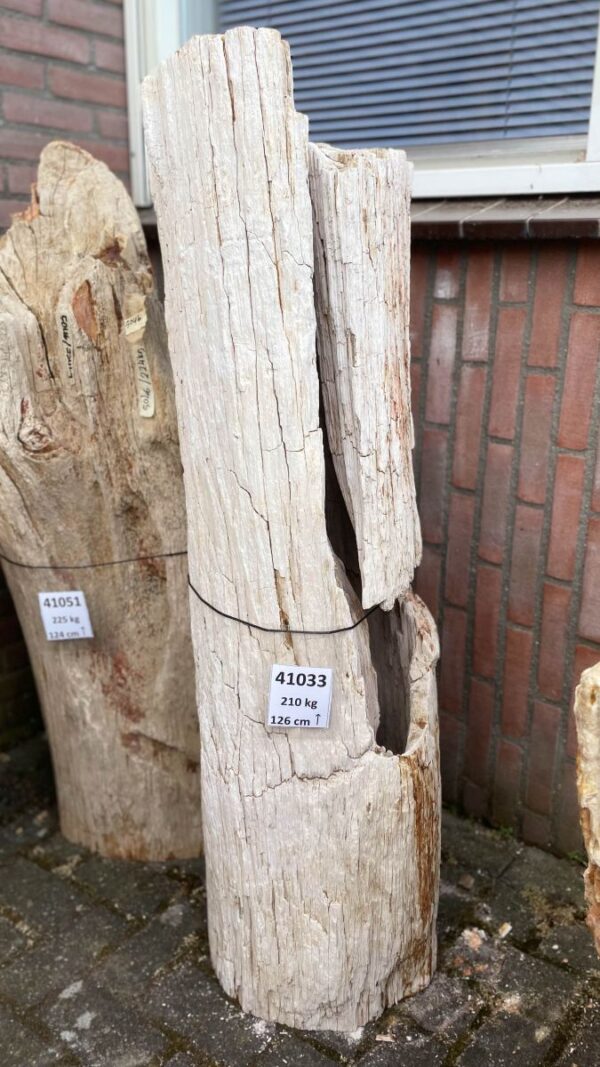 Grabstein versteinertes Holz 41033