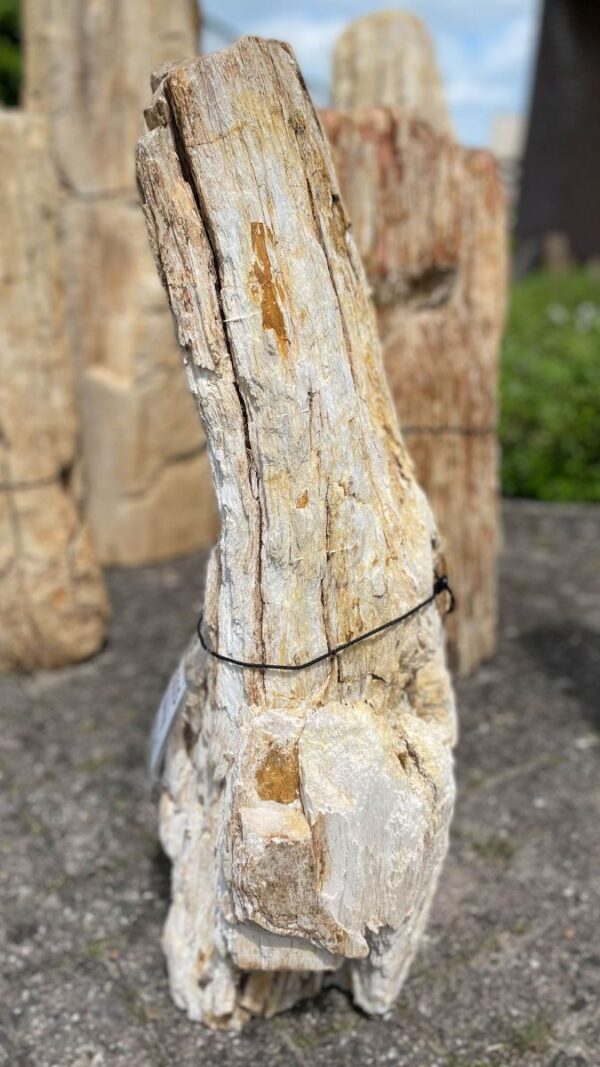 Grabstein versteinertes Holz 41115